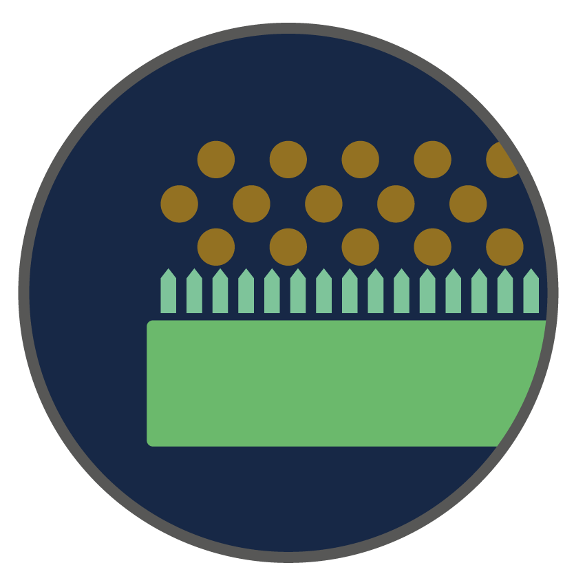 Kratzige Schmutzfangmatte - Professionelle Eingangsmatte